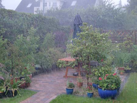 regn1.jpg